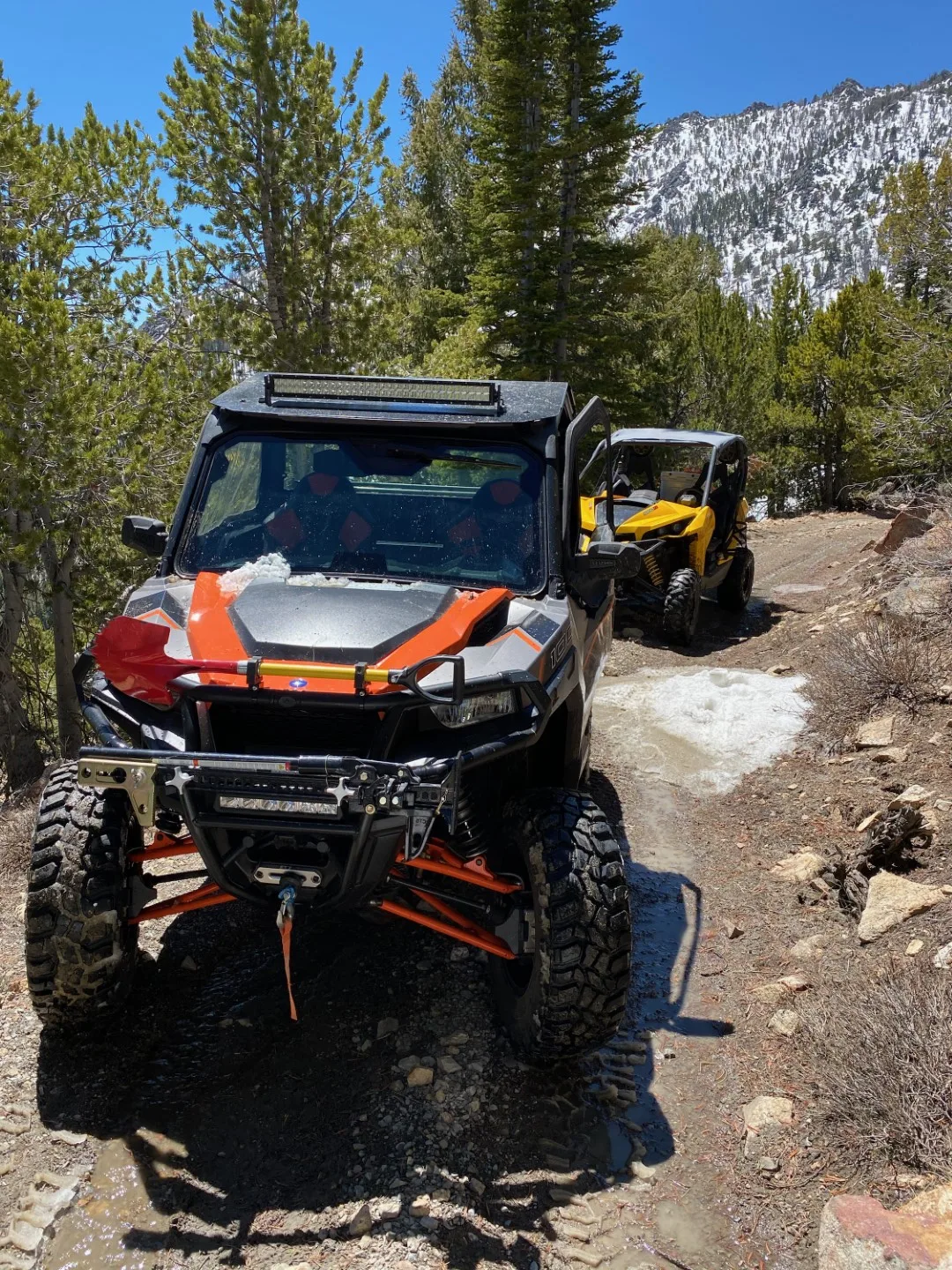 motor-vehicle-insurance-atv